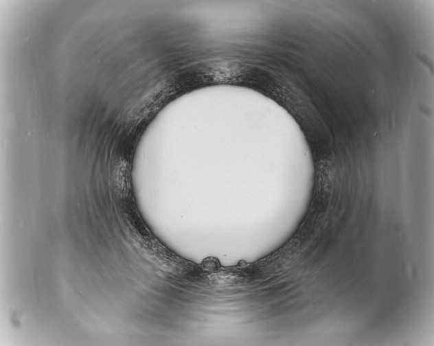 X0000101670650200807311458