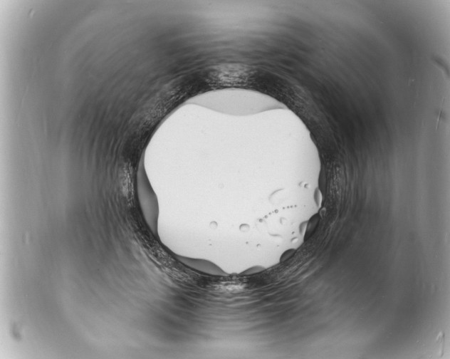 X0000101670651200807311458