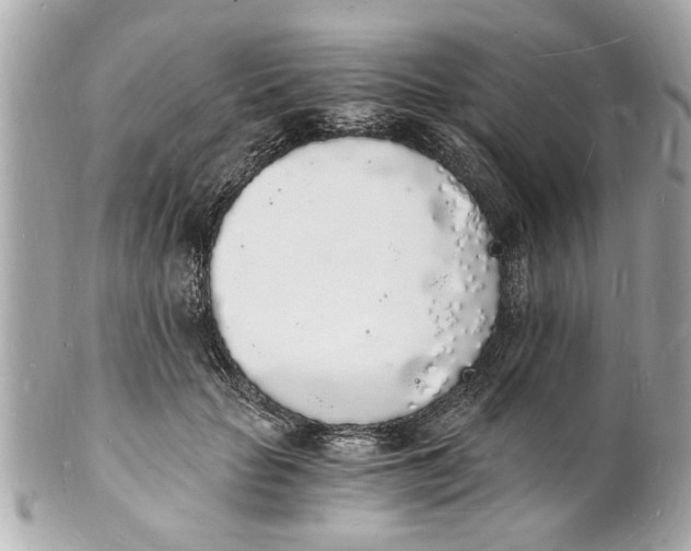X0000101670653200807311458