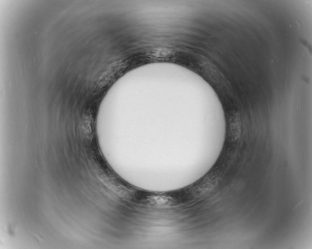 X0000101670654200807311458