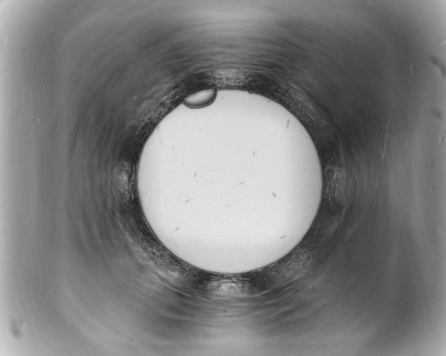 X0000101670655200807311458