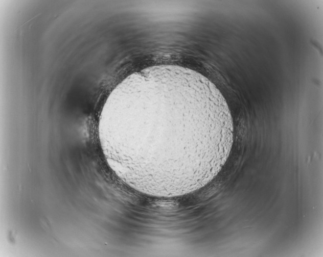 X0000101670659200807311458