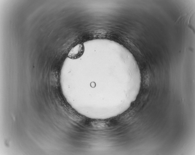 X0000101670661200807311458