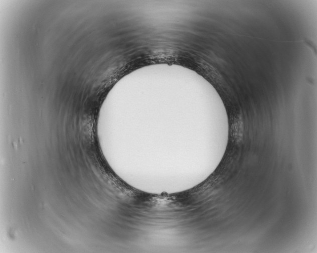 X0000101670662200807311458