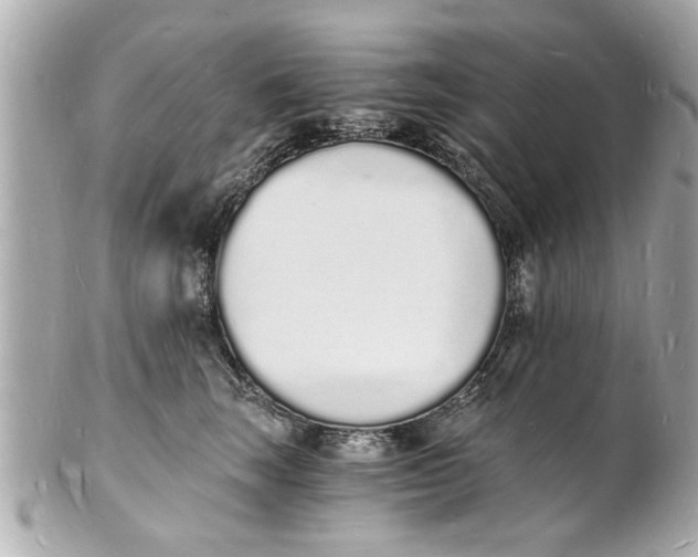 X0000101670663200807311458