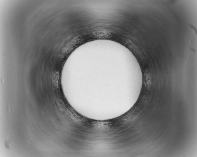 X0000101670664200807311458