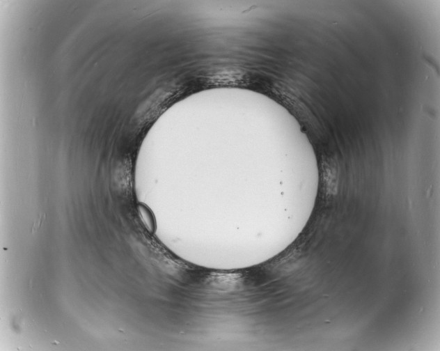 X0000101670665200807311458