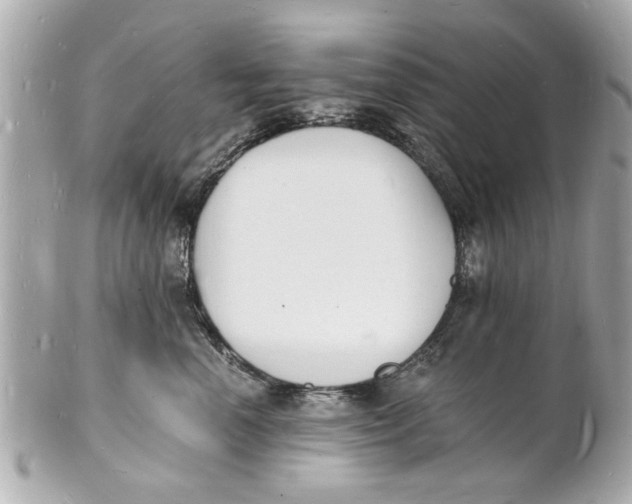 X0000101670666200807311458