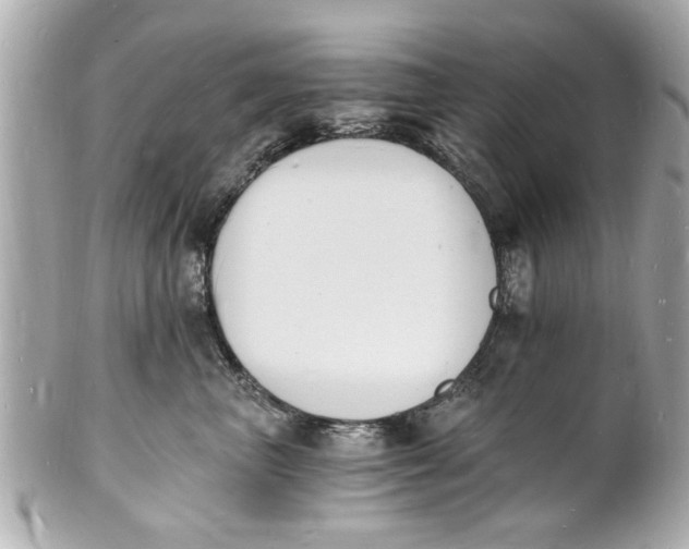 X0000101670667200807311458