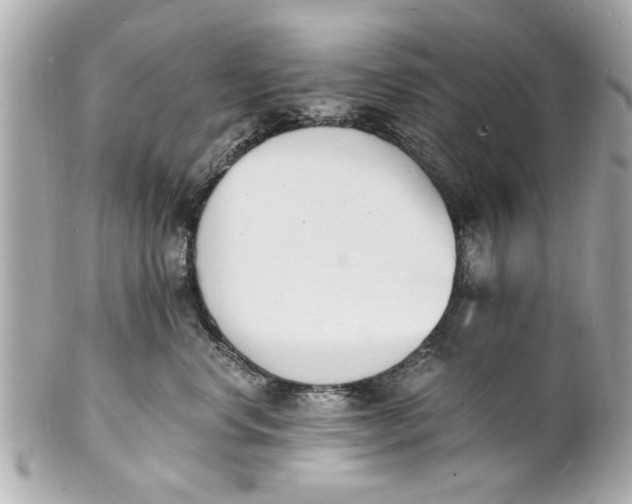 X0000101670668200807311458