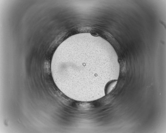 X0000101670669200807311458