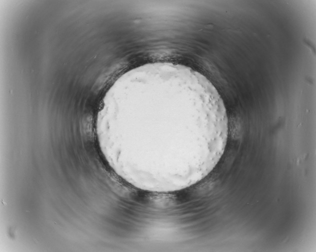 X0000101670670200807311458