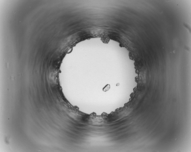 X0000101670671200807311458