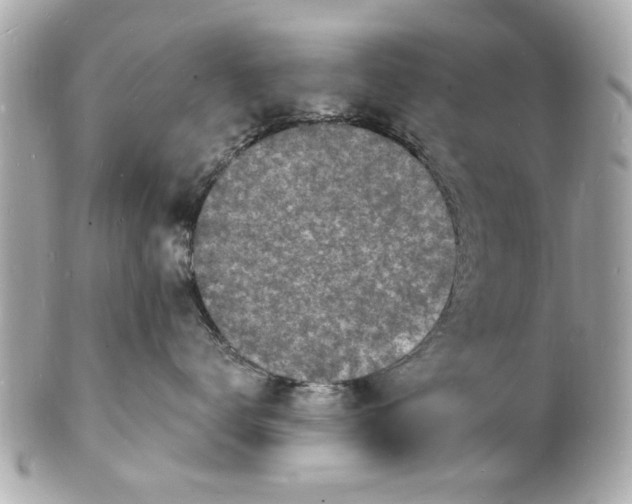 X0000101670672200807311458