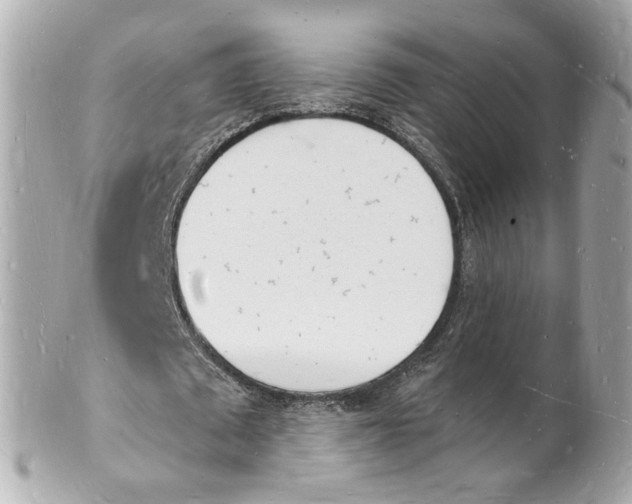 X0000101670673200807311458