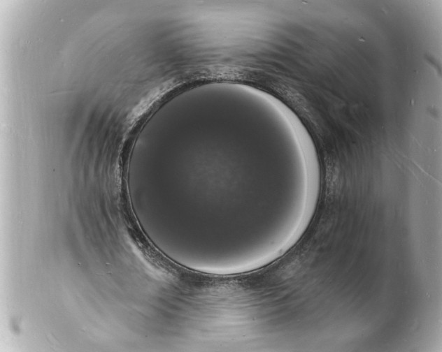 X0000101670674200807311458