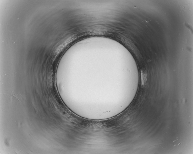 X0000101670675200807311458