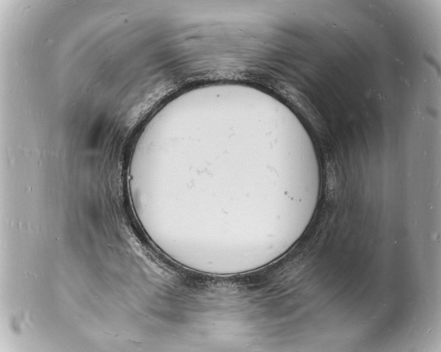 X0000101670677200807311458