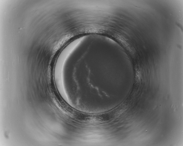 X0000101670678200807311458
