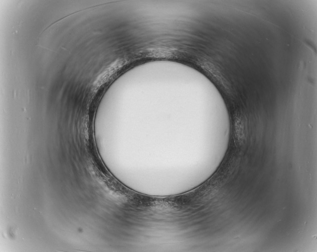 X0000101670682200807311458