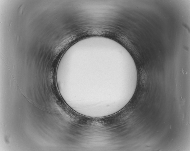 X0000101670683200807311458