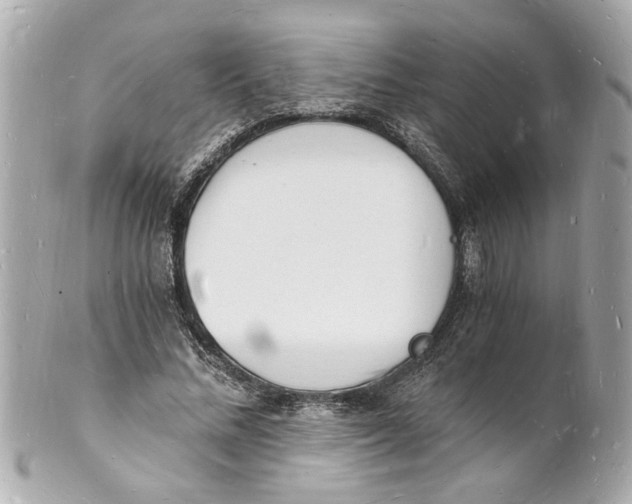X0000101670684200807311458