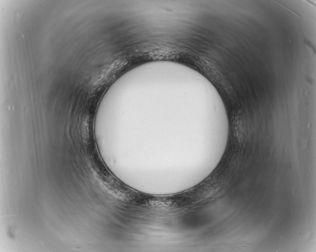 X0000101670690200807311458