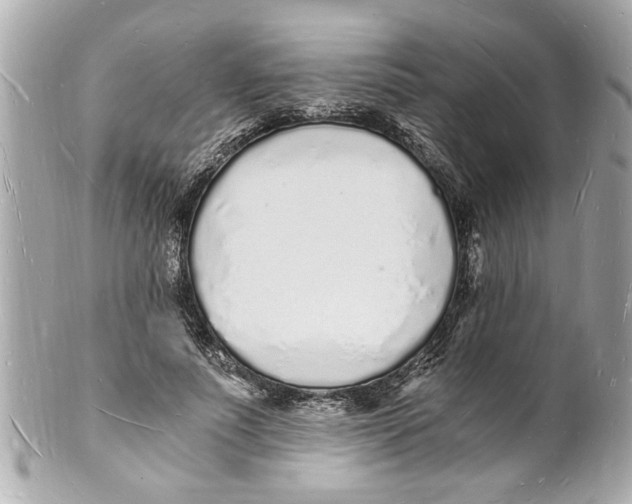 X0000101670691200807311458