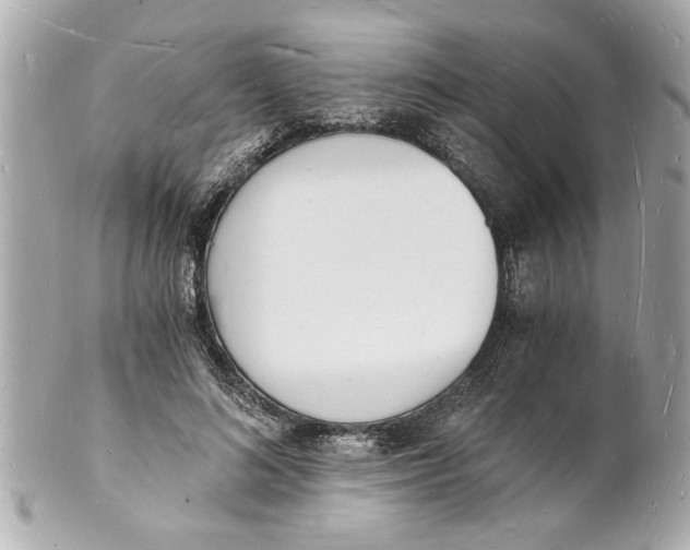 X0000101670692200807311458