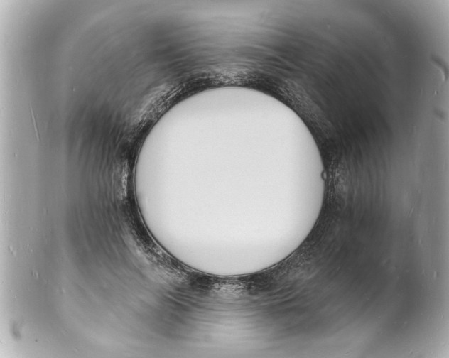 X0000101670694200807311457
