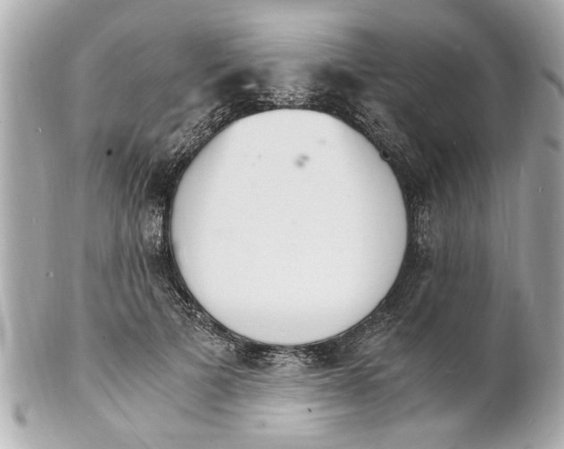X0000101670697200807311457