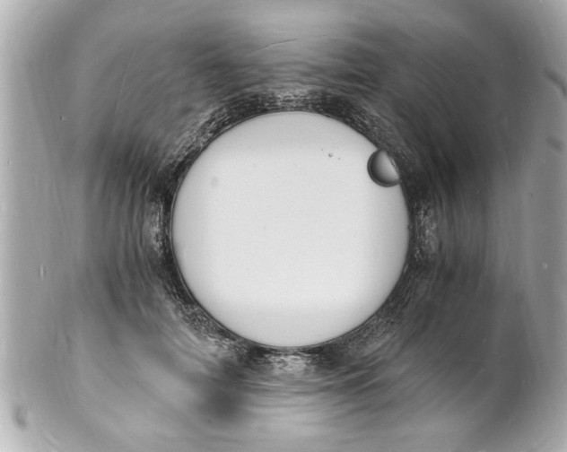 X0000101670698200807311457