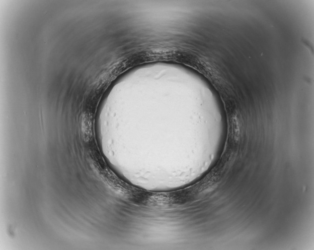 X0000101670699200807311457