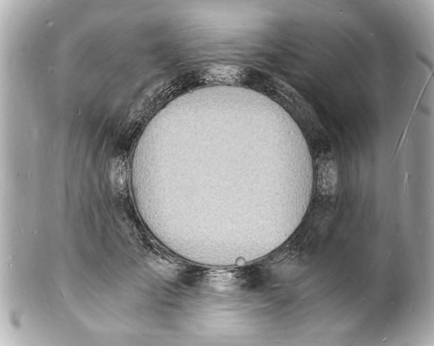 X0000101670701200807311457