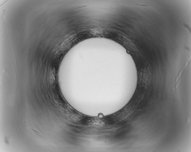 X0000101670702200807311457