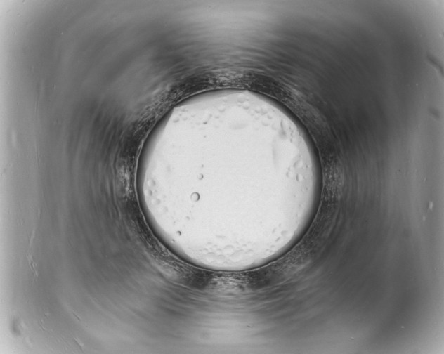 X0000101670703200807311457