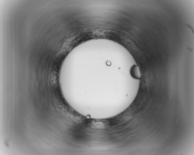 X0000101670706200807311457
