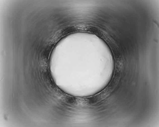 X0000101670707200807311457