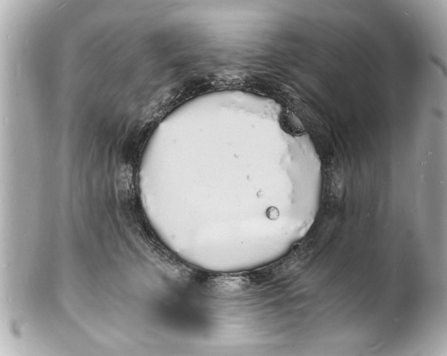 X0000101670711200807311457