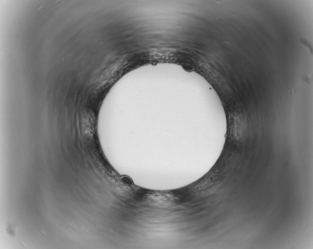 X0000101670712200807311457