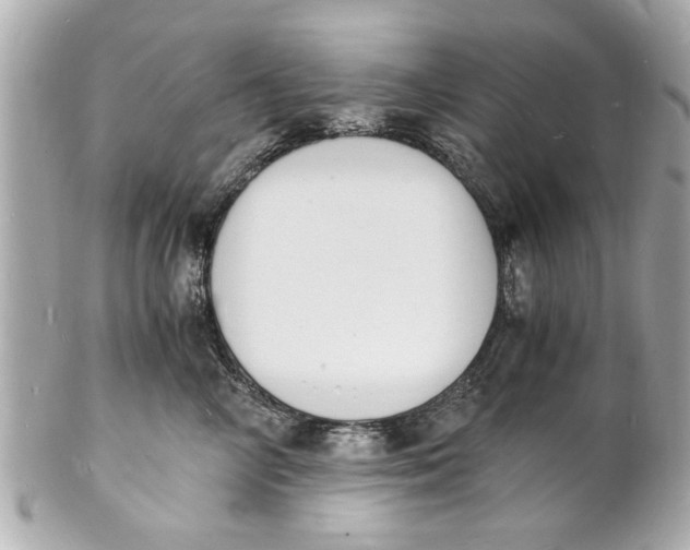 X0000101670714200807311457