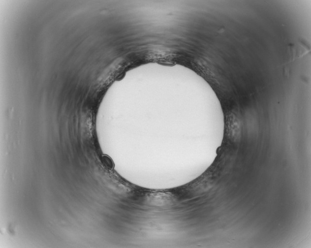 X0000101670716200807311457