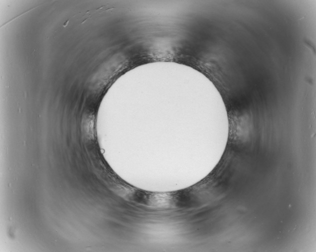 X0000101670717200807311457