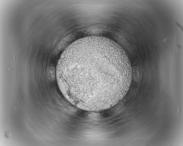X0000101670718200807311457