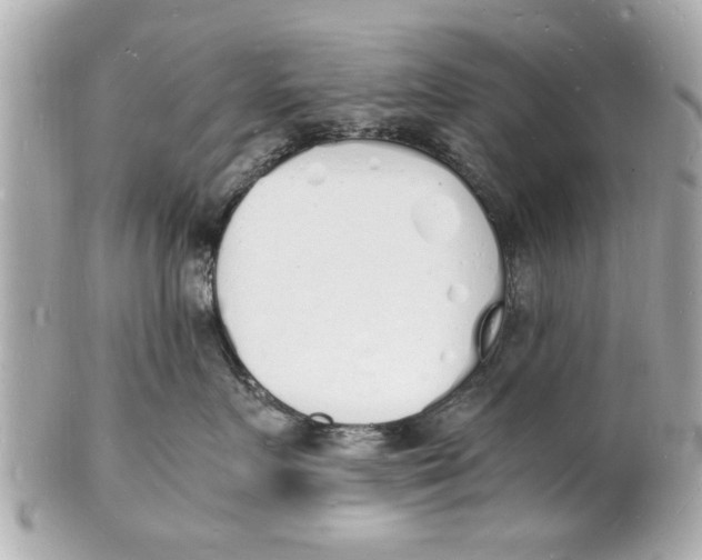 X0000101670719200807311457