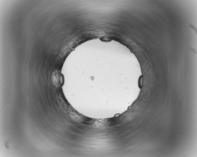 X0000101670720200807311457
