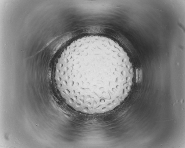X0000101670723200807311456