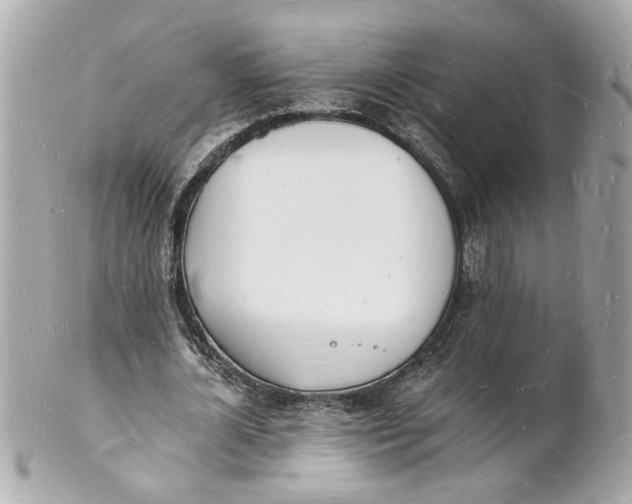 X0000101670724200807311457