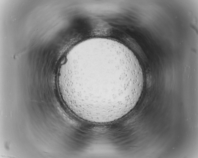 X0000101670725200807311457