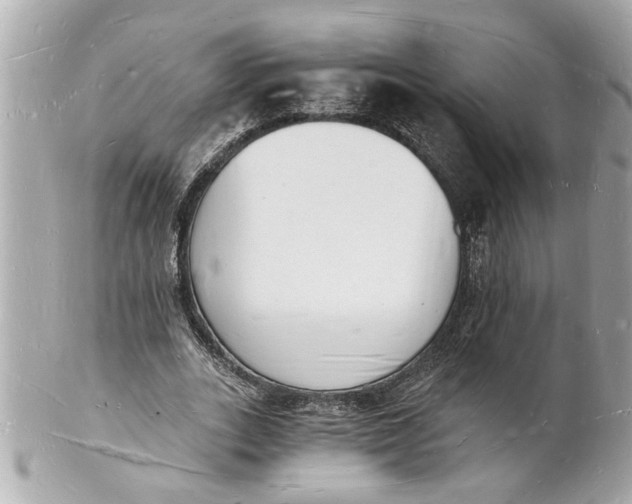 X0000101670727200807311457